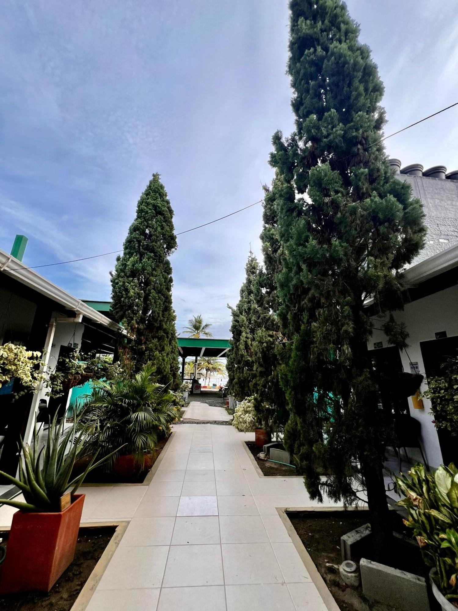 Hotel Cocobana Necoclí Dış mekan fotoğraf
